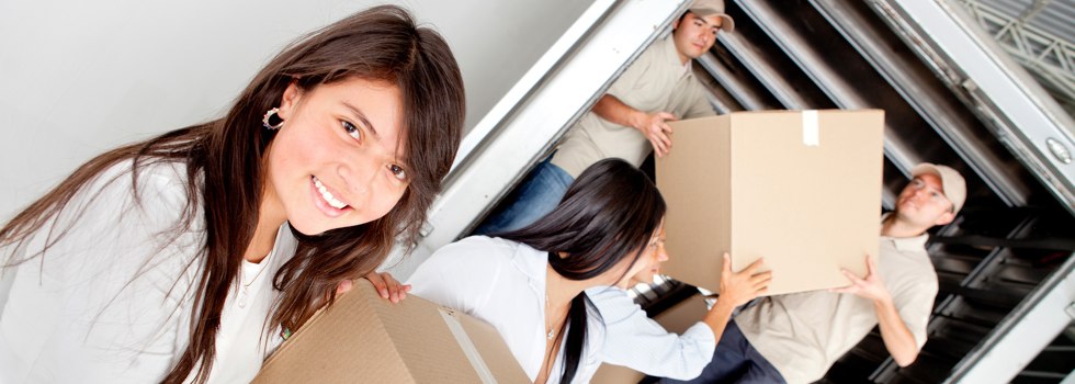 Professional Removalists Metung